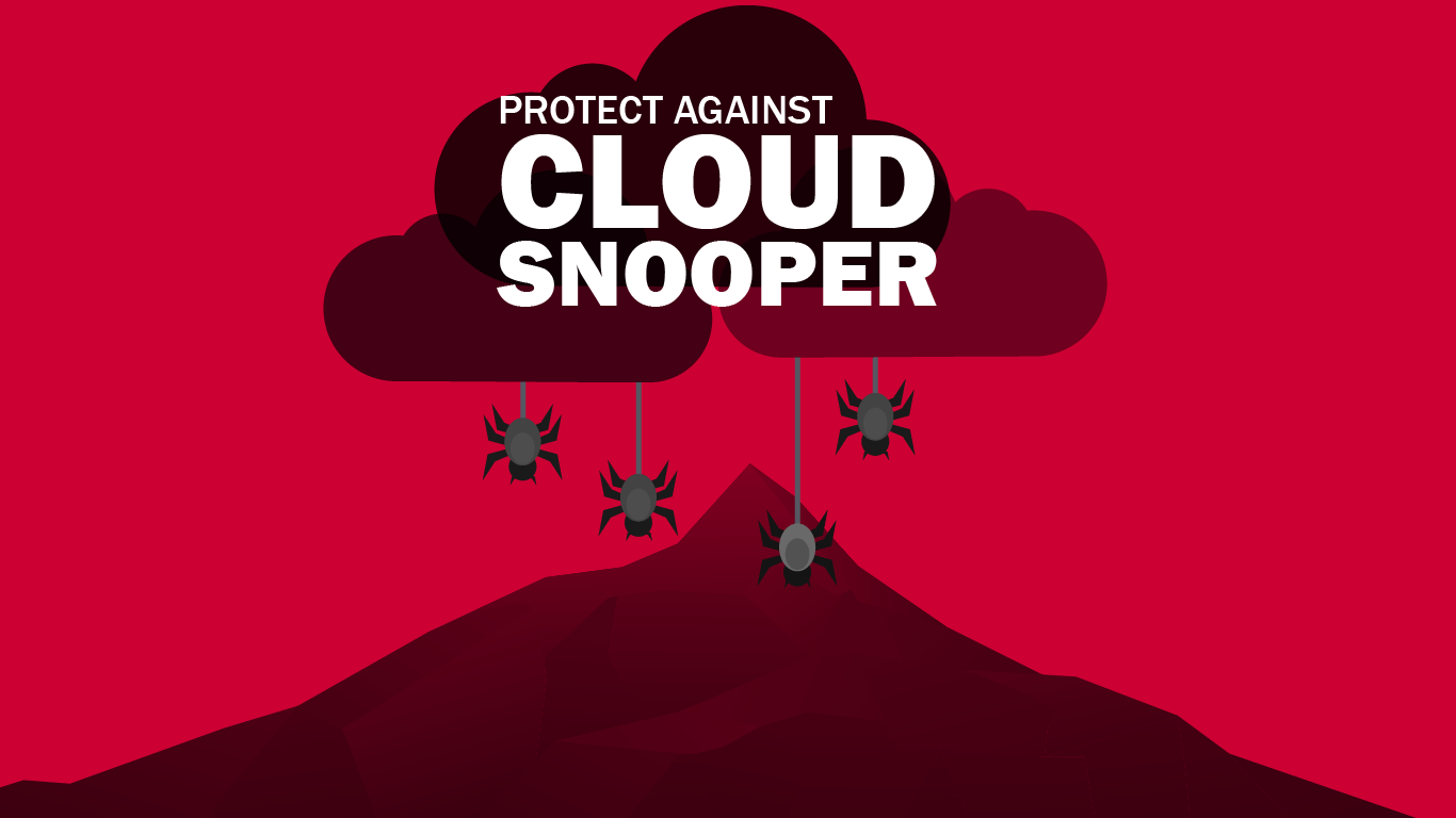 Protecting Your Network from Cloud Snooper